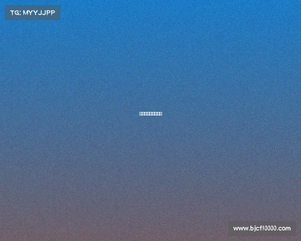 澳门今天有什么活动