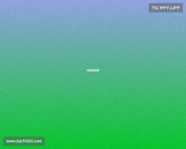 新锐骏马赛场竞逐